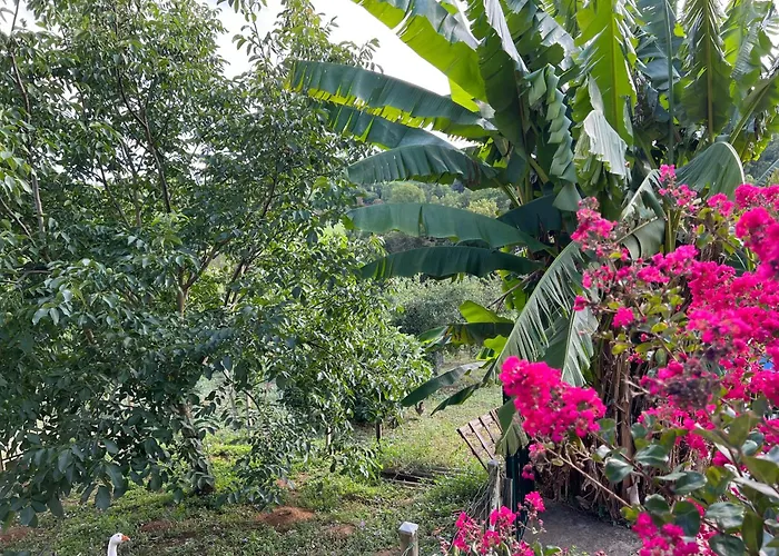 Les Conches, D'hotes Et Gasthuis Thiviers